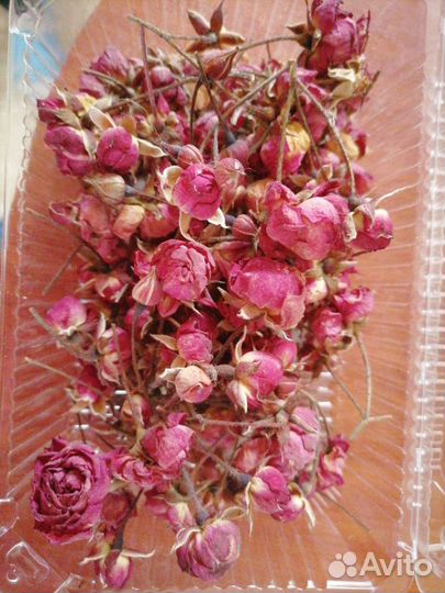 Сухой цветок Роза