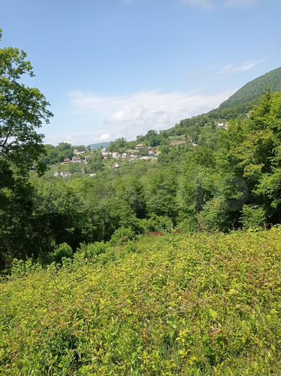 Участок 11 сот. (СНТ, ДНП)