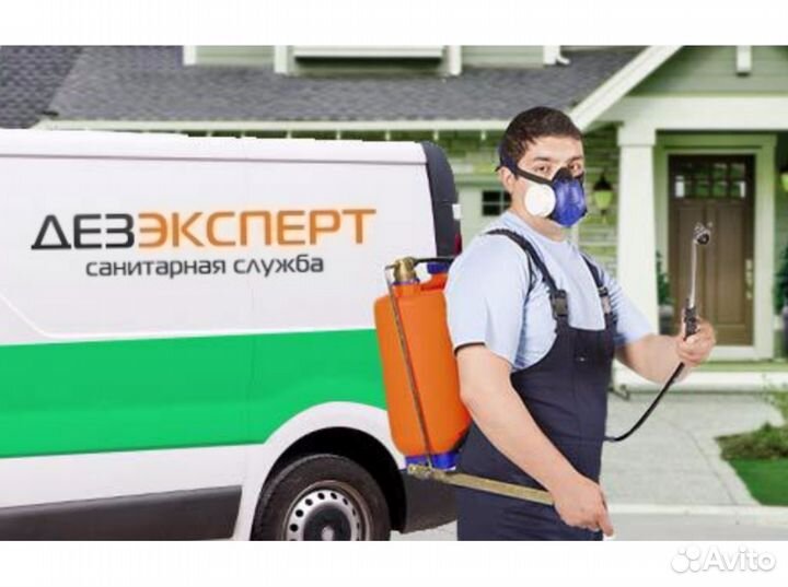 Служба №1 по борьбе с вредителем / Городец + Район