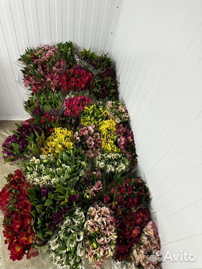 Цветы опт розница