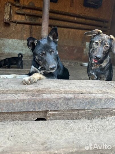 Мальчик подросток