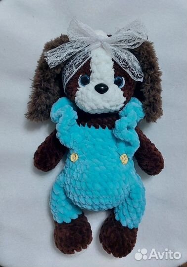 Спаниелька