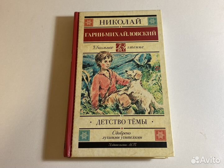 Николай Гарин-михайловский детсво Темы