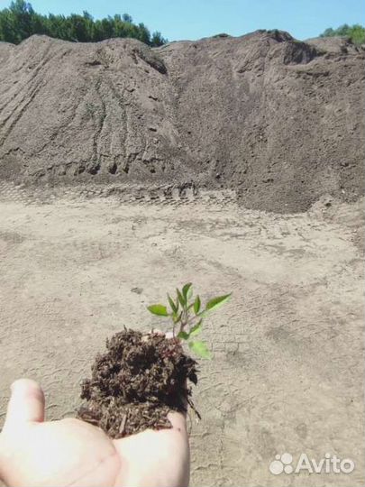 Навоз коровий удобрение 25 л