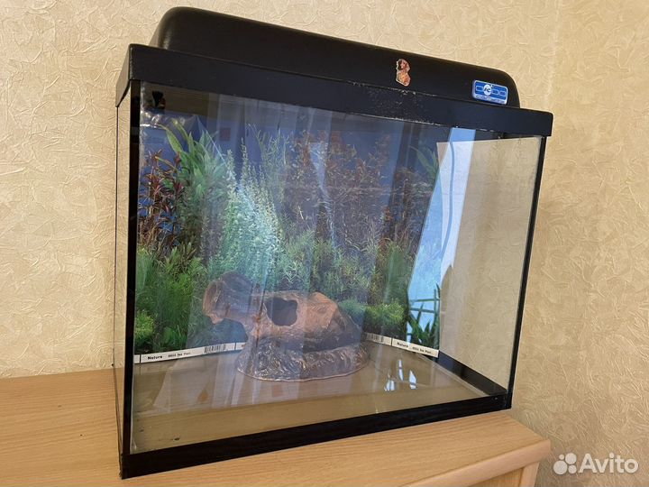 Аквариум б/у