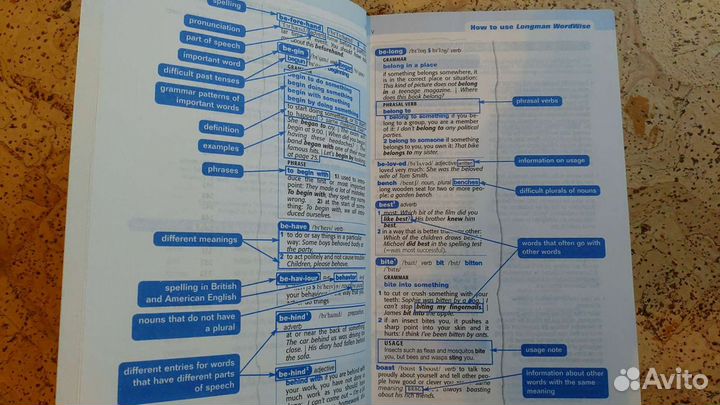 Longman WordWise Dictionary
