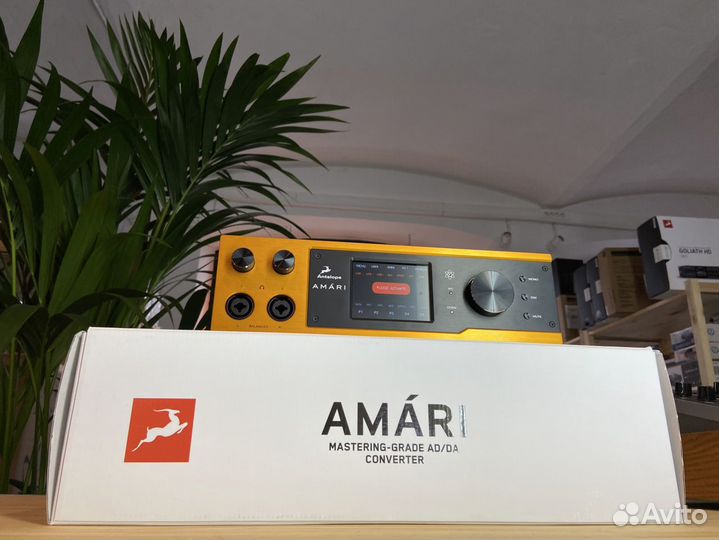 Цап Antelope Audio Amari