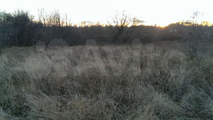 Участок 49 сот. (ИЖС)