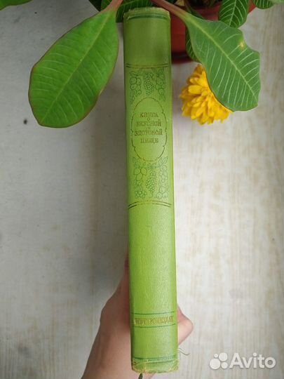 Книга о вкусной и здоровой пище 1955