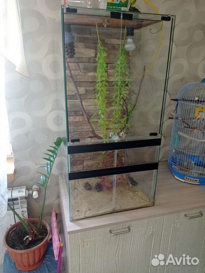 Террариум для хамелеона