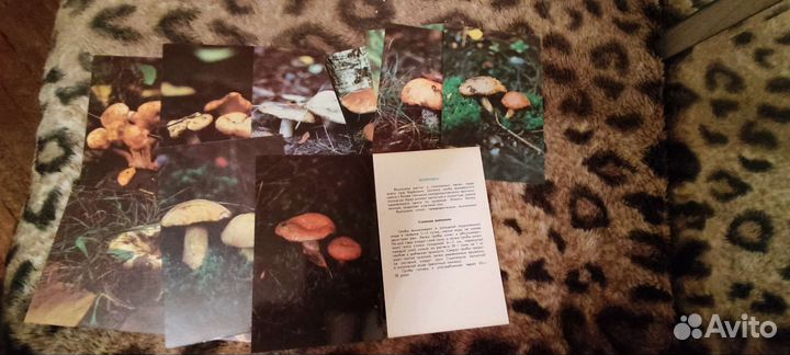 Наборы открыток СССР 70-80-90гг