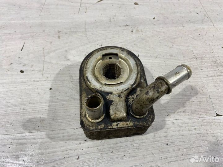 Радиатор масляный Ford Focus 3 (11-14) универсал