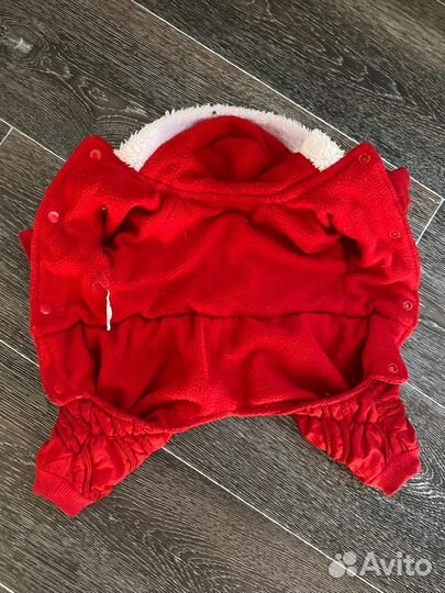 Вещи для собаки девочки