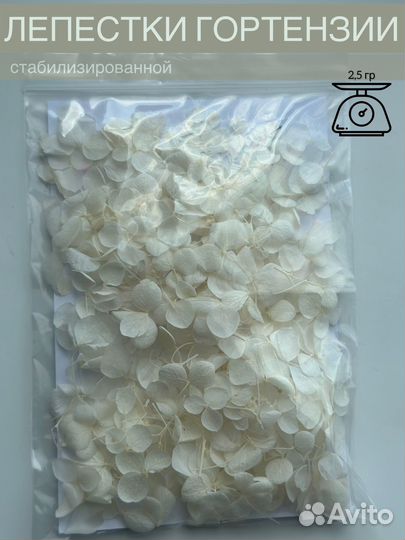 Сухоцветы для творчества/декора свечей/мыла