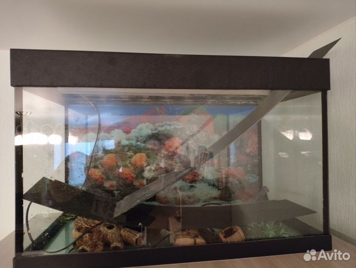 Аквариум