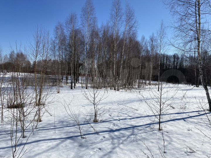 Участок 10 сот. (ИЖС)