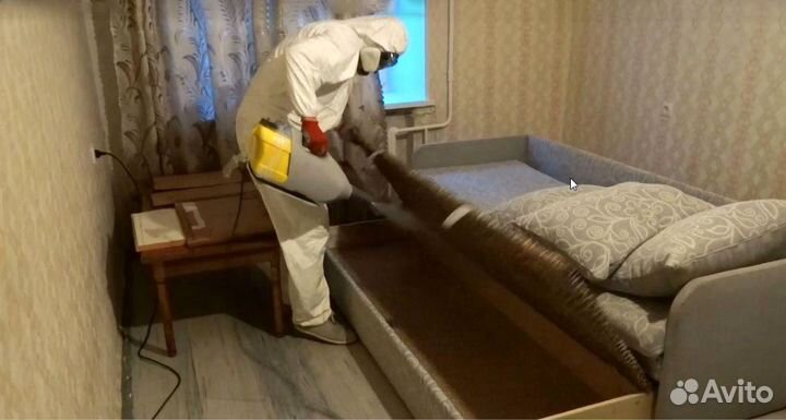 Уничтожение клопов, тараканов. Обработка участка