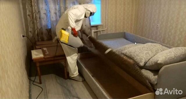 Уничтожение клопов, тараканов. Обработка участка