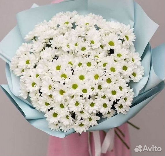 Хризантема Доставка цветов Букеты