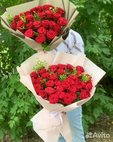 Розы Софи Лорен с упаковкой доставка