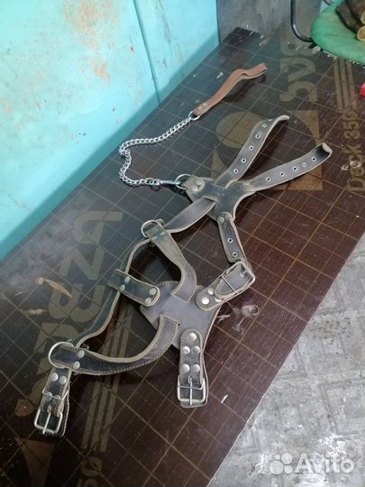 Шлейка для собаки кожа в хорошем состоянии
