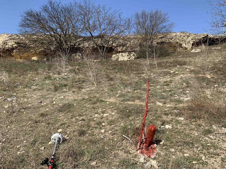 Участок 6 сот. (ИЖС)