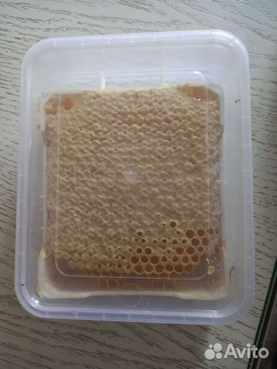 Сотовый мед