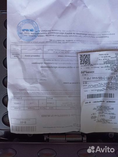 Орешница электрическая