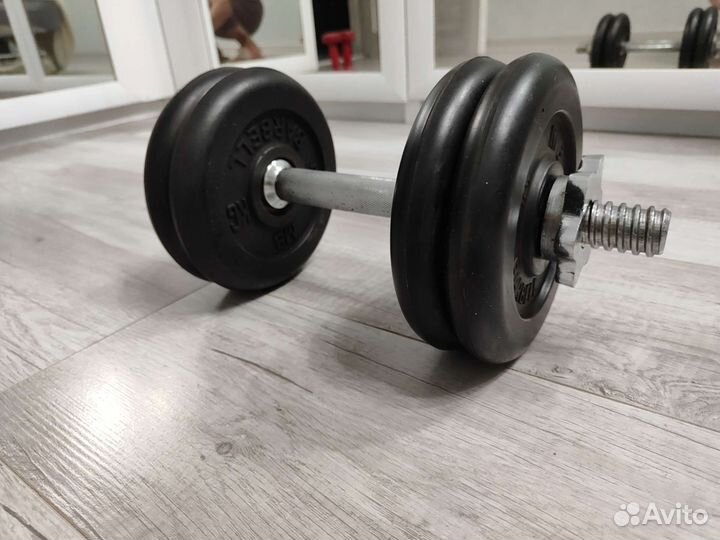 Гантели разборные Barbell