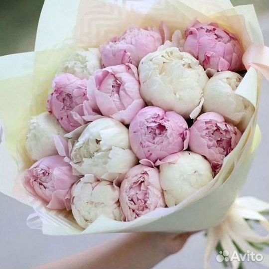 Пионы Букет пионов