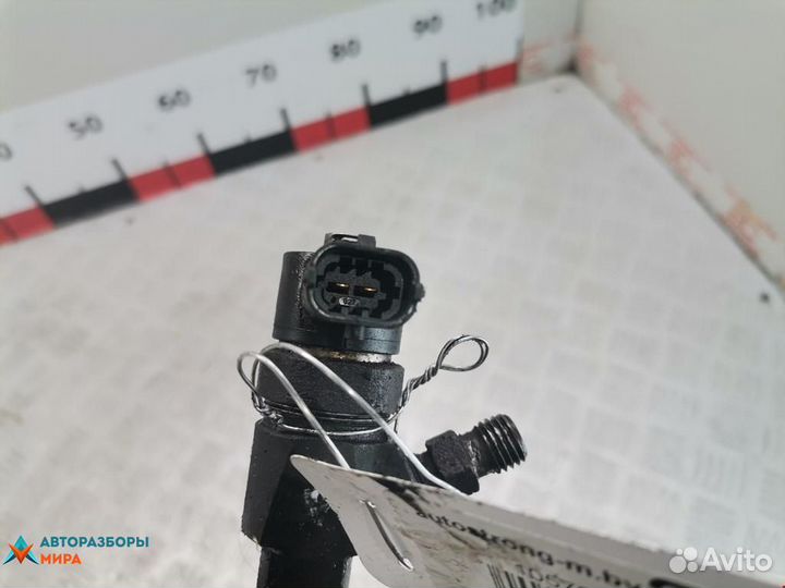 Форсунка Opel Insignia (A) 2010 55566050