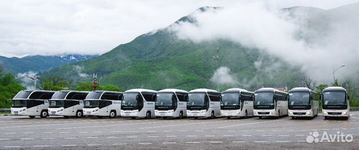 Аренда автобусов и микроавтобусов от 4 до 63 мест