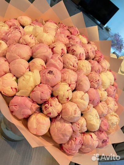 Букеты пион с доставкой