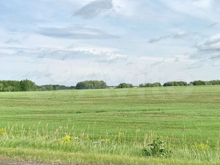 Участок 6 сот. (СНТ, ДНП)