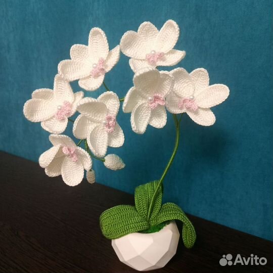 Орхидея вязаная