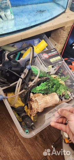 Аксолотль с аквариумом и тумбой