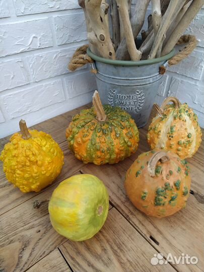 Тыква декоративная