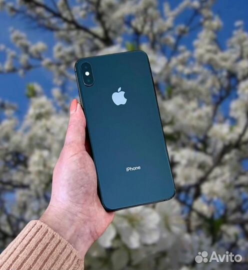 iPhone Xs Max, 512 ГБ