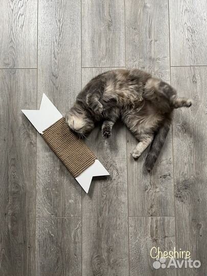 Когтеточка «сканди»