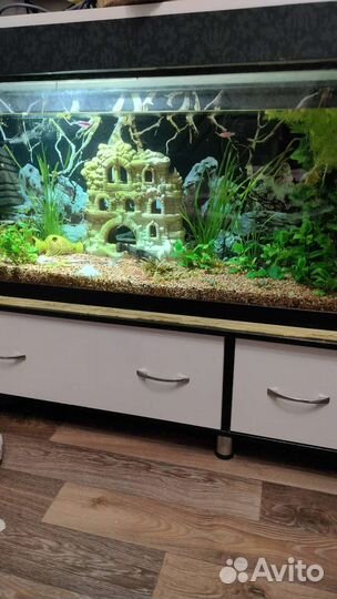 Аквариум