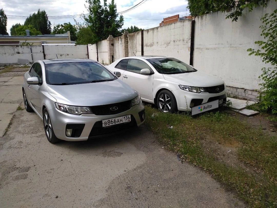 Kia Cerato: фото владельца