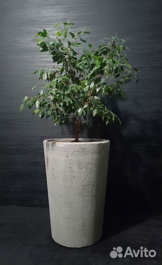 Горшки, Вазоны, Кашпо под заказ из бетона