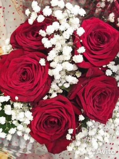 Букет из роз 15, 25 и 31 шт с доставкой