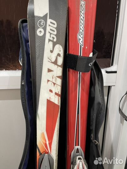 Горные лыжи