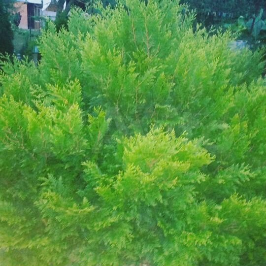 Дом 200 м² на участке 4 сот.