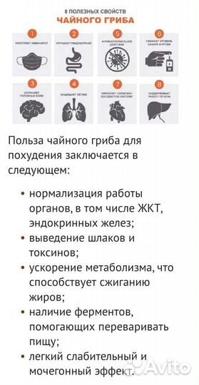 Чайный гриб