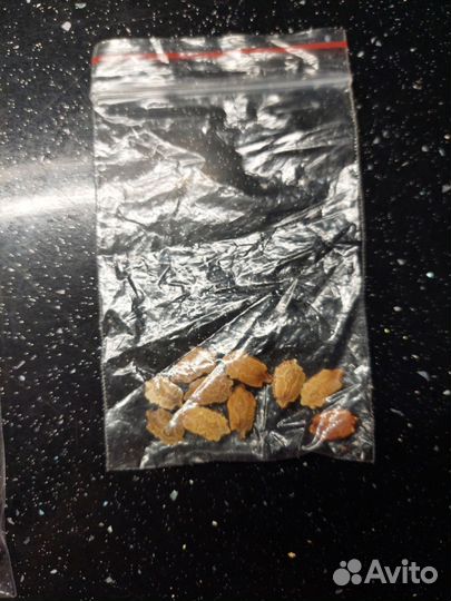 Семена момордики