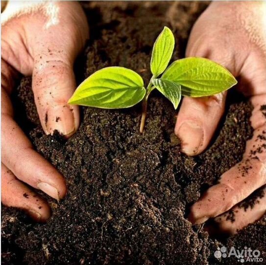 Чернозем Торф в мешках