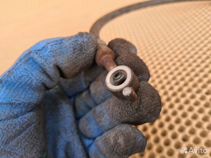 Шланг тормозной задний Infiniti M Q70 Y51