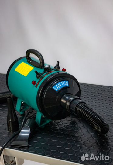 Фен компрессор для собак и кошек